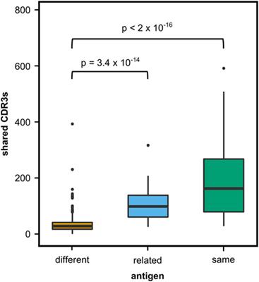 Functionally Convergent B Cell Receptor Sequences in Transgenic Rats Expressing a Human B Cell Repertoire in Response to <mark class="highlighted">Tetanus Toxoid</mark> and Measles Antigens